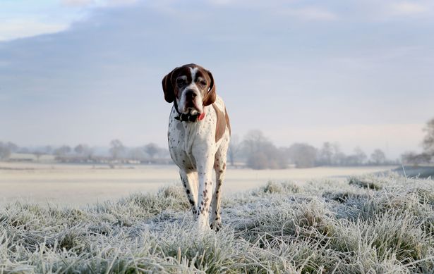 Kent weather: ‘Russian chill’ front could bring coldest May in 25 years