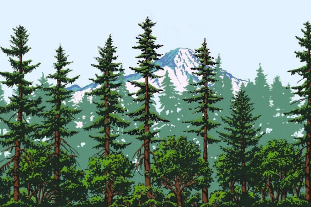 Kent’s West Hill water tower to get mural with trees, Mount Rainier