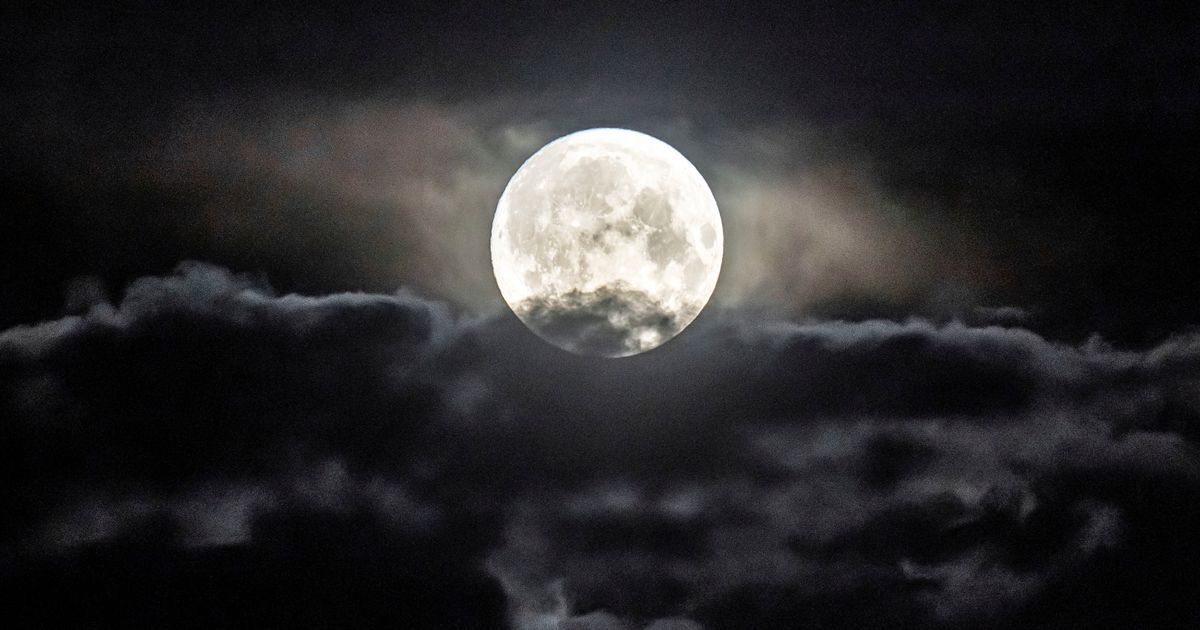 July’s ‘Buck’ supermoon: What is it and when can the UK expect to see it?